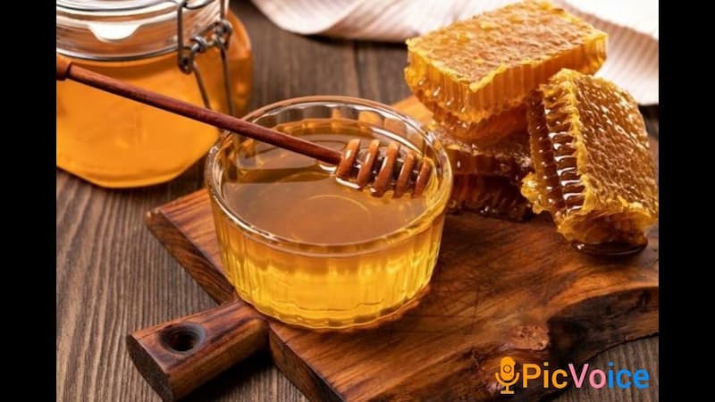تصویر 2 از خرید و قیمت عسل اردبیل + عمده